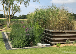 Phytoépuration : Jardin d'Assainissement avec Roseaux Jardin d'Assainissement avec système de phytoépuration, roseaux et fleurs mauves dans un aménagement paysager moderne.